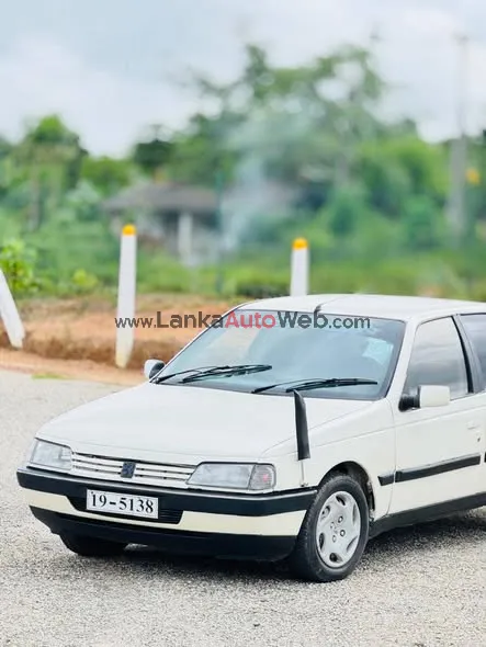Peugeot 405 photo 4 in Dodangoda, Kalutara
